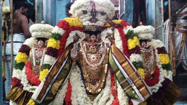 அருள்மிகு இராஜகோபாலசுவாமி திருக்கோயில், புதுப்பாளையம், கடலூர் - 607001 - Main View