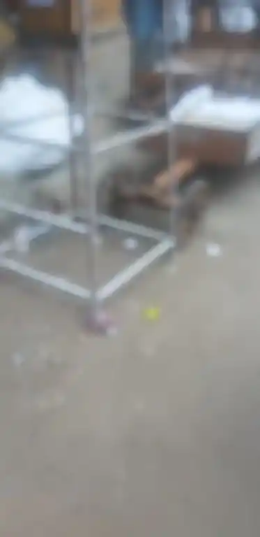 Arulmigu Rajagopalasamy Temple, Kovilpatty - 628502 அருள்மிகு ராஜகோபாலசுவாமி திருக்கோயில், Kovilpatty - 628502, Thoothukudi - Ancient Temple Architecture and History Image 3