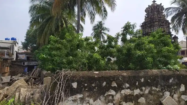 Arulmigu Rajagopalasamy Temple, Near Muppidathiamman Temple, Sundharapandiyapuram - 627858 அருள்மிகு ராஜகோபாலசுவாமி திருக்கோயில், -, Sundharapandiyapuram - 627858, Tenkasi - Ancient Temple Architecture and History Image 3