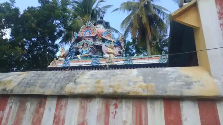 Arulmigu Rajagopalaswamy Temple, Chozhanmaligai - 612703 அருள்மிகு ராஜகோபால சுவாமி திருக்கோயில், Chozhanmaligai - 612703, Thanjavur - Ancient Temple Architecture and History Image 4