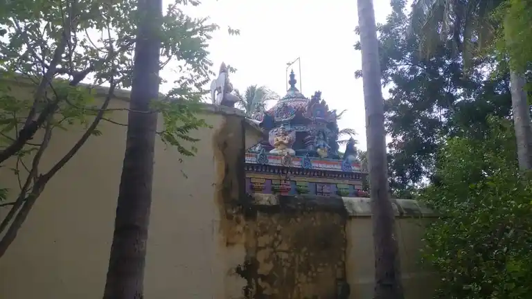 Arulmigu Rajagopalaswamy Temple, Chozhanmaligai - 612703 அருள்மிகு ராஜகோபால சுவாமி திருக்கோயில், Chozhanmaligai - 612703, Thanjavur - Ancient Temple Architecture and History Image 5