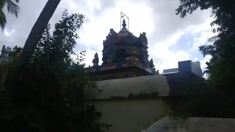 Arulmigu Rajagopalaswamy Temple, Chozhanmaligai - 612703 அருள்மிகு ராஜகோபால சுவாமி திருக்கோயில், Chozhanmaligai - 612703, Thanjavur - Ancient Temple Architecture and History Image 6