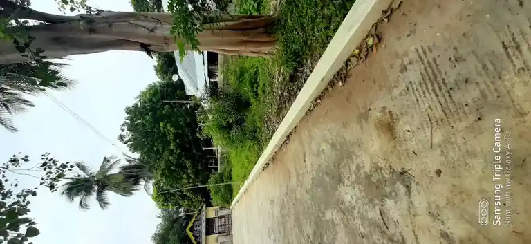 Arulmigu Rajagopalaswamy Temple, Marathurai - 609204 அருள்மிகு ராஜகோபாலசுவாமி திருக்கோயில், Marathurai - 609204, Thanjavur - Ancient Temple Architecture and History Image 4