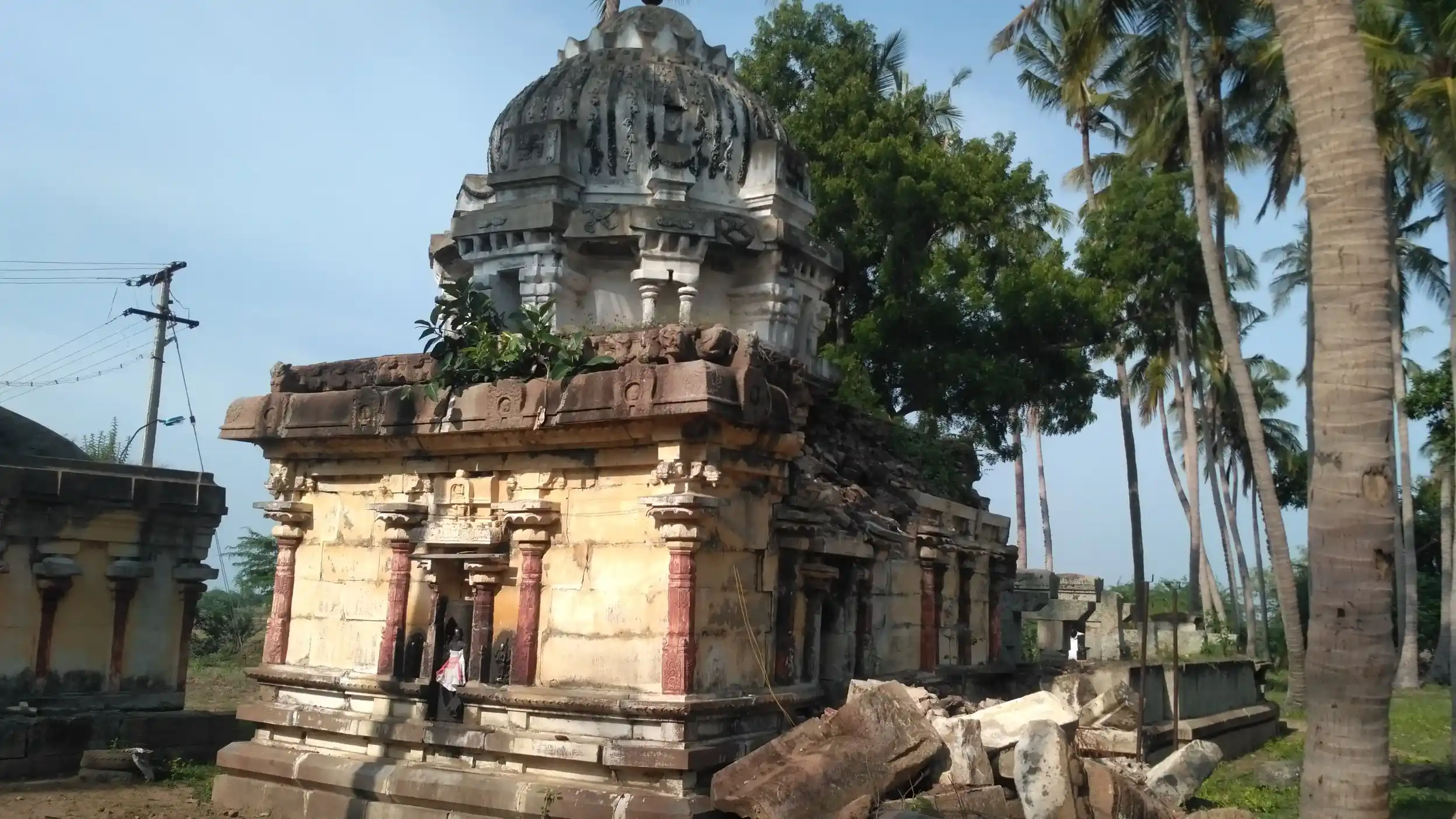 Arulmigu Rajendrasollieswarar Temple, Thedakki, Thedakki - 614624 அருள்மிகு இராஜேந்திர சோழீஷ்வரர் திருக்கோயில், தேடாக்கி, அறந்தாங்கி வட்டம் - 614624, Pudukkottai - Ancient Temple Architecture and History Image 3
