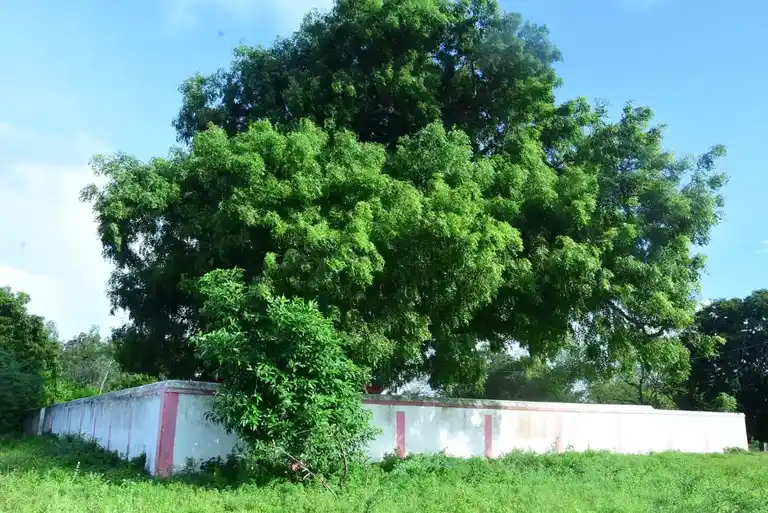 Arulmigu Rakalamman Temple, Mettupalayam - 631604