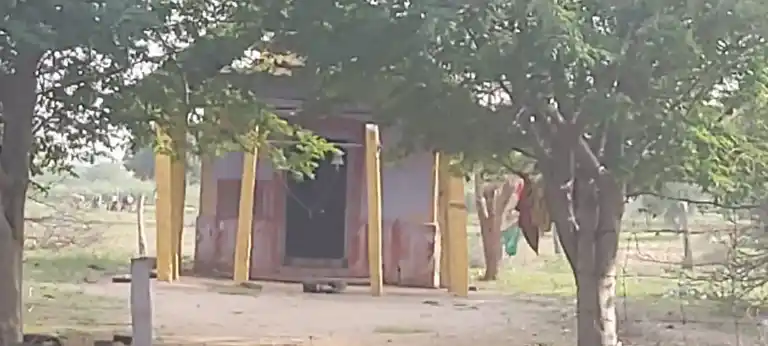 Arulmigu Rakkachiamman Temple, Kamanayakkanpatti - 628952 அருள்மிகு ராக்காச்சியம்மன் திருக்கோயில், Kamanayakkanpatti - 628952, Thoothukudi - Ancient Temple Architecture and History Image 7