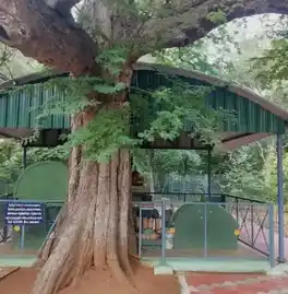 Arulmigu Rakkiyannaswamy Temple, Thoranavavi - 638052 அருள்மிகு ராக்கியண்ணசாமி திருக்கோயில், தோரணவாவி - 638052, Erode - Ancient Temple Architecture and History Image 4