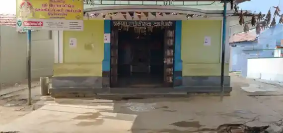 Arulmigu Ramalinga Sowdamman Temple, Pappankulam - 642204 அருள்மிகு இராமலிங்க சௌடம்மன் திருக்கோயில், Pappankulam - 642204, Tiruppur - Ancient Temple Architecture and History Image 3