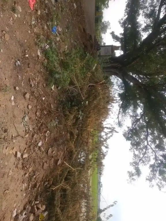 Arulmigu Ramalinga Sway Madam, Renganathapuram - 639202