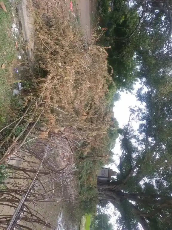 Arulmigu Ramalinga Sway Madam, Renganathapuram - 639202 அருள்மிகு ராமலிங்கசுவாமி மடம், Renganathapuram - 639202, Karur - Ancient Temple Architecture and History Image 5