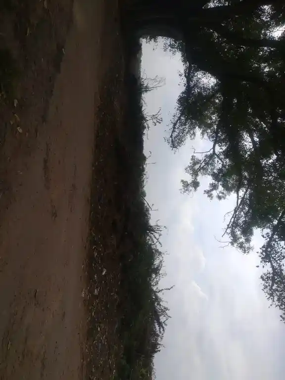 Arulmigu Ramalinga Sway Madam, Renganathapuram - 639202 அருள்மிகு ராமலிங்கசுவாமி மடம், Renganathapuram - 639202, Karur - Ancient Temple Architecture and History Image 7