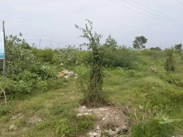 Arulmigu Ramalinga Vinayagar Temple, Ramanujapuram - 626107 அருள்மிகு இராமலிங்க விநாயகர் திருக்கோயில், Ramanujapuram - 626107, Virudhunagar - Ancient Temple Architecture and History Image 3