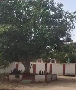 Arulmigu Ramalingachoudeswarai Temple, Kondakarahalli - 636810 அருள்மிகு ராமலிங்க சவுடேஸ்வரி திருக்கோயில், Kondakarahalli - 636810, Dharmapuri - Ancient Temple Architecture and History Image 3