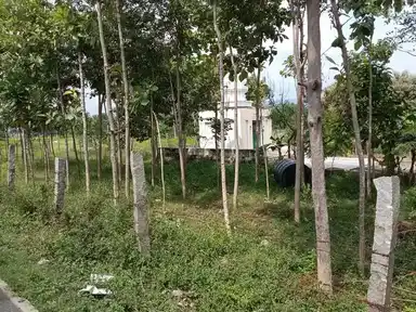 Arulmigu Ramalingam Swamygal Temple, Kettavaram Palaiyam - 606751 அருள்மிகு ராமலிங்கசுவாமி திருக்கோயில், Kettavaram Palaiyam, Kettavaram Palaiyam - 606751, Tiruvannamalai - Ancient Temple Architecture and History Image 2