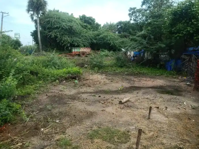 Arulmigu Ramalingaswamy Temple, Pinnathur - 608001 அருள்மிகு இராமலிங்கசுவாமி திருக்கோயில், Pinnathur - 608001, Cuddalore - Ancient Temple Architecture and History Image 2