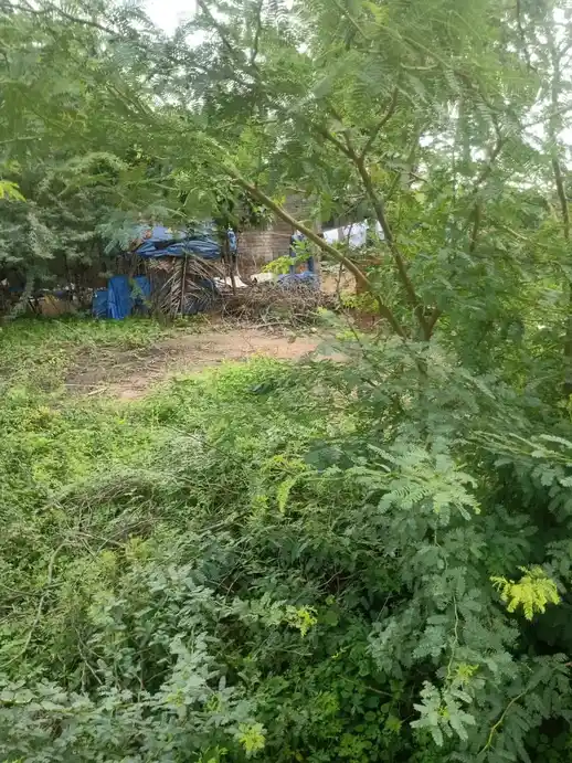 Arulmigu Ramalingaswamy Temple, Pinnathur - 608001 அருள்மிகு இராமலிங்கசுவாமி திருக்கோயில், Pinnathur - 608001, Cuddalore - Ancient Temple Architecture and History Image 3