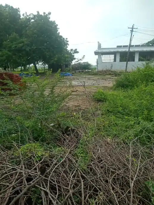 Arulmigu Ramalingaswamy Temple, Pinnathur - 608001 அருள்மிகு இராமலிங்கசுவாமி திருக்கோயில், Pinnathur - 608001, Cuddalore - Ancient Temple Architecture and History Image 4