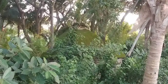 Arulmigu Ramalingaswamy Temple, Puthur - 614202 அருள்மிகு இராமலிங்க சுவாமி திருக்கோயில், Puthur - 614202, Thanjavur - Ancient Temple Architecture and History Image 2