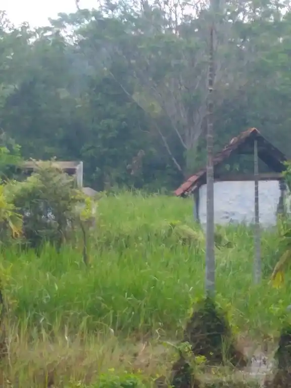 Arulmigu Ramanalloor Sastha Temple, Aattroor, Attoor - 629177 Arulmigu Ramanalloor Sastha Temple, Aattroor, ஆத்தூர் - 629177, Kanyakumari - Ancient Temple Architecture and History Image 3