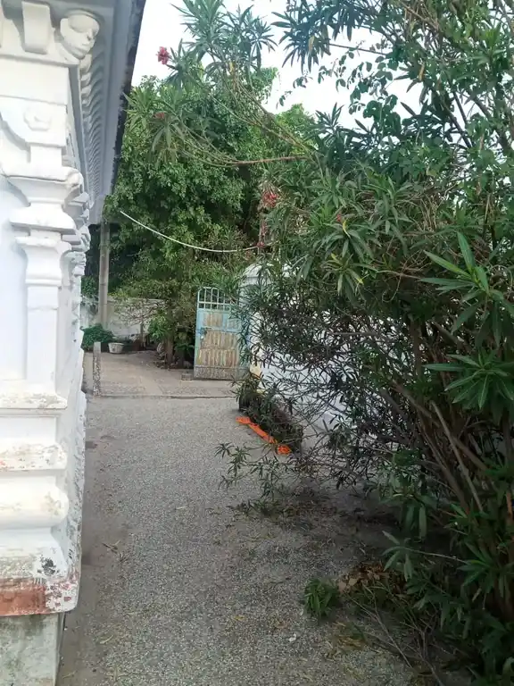 Arulmigu Ramanatheeswarar Temple, Pennathur - 632058 அருள்மிகு ராமநாதீஸ்வரர் திருக்கோயில், பென்னாத்தூர் - 632058, Vellore - Ancient Temple Architecture and History Image 8