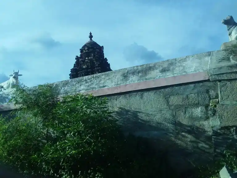 Arulmigu Ramanathieswarar And Varadharaja Perumal Temple, Anniyur - 605202 அருள்மிகு இராமநாதீஸ்வரர் திருக்கோயில், அன்னியூர் - 605202, Viluppuram - Ancient Temple Architecture and History Image 2