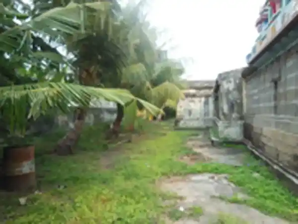 Arulmigu Ramapathra Perumal Temple, Poravachery - 611108 அருள்மிகு இராமபத்ரபெருமாள் திருக்கோயில், பொரவாச்சேரி - 611108, Nagapattinam - Ancient Temple Architecture and History Image 3