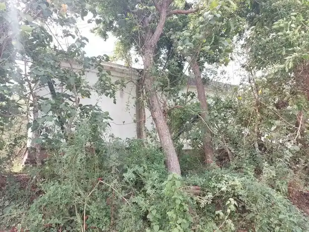 Arulmigu Ramar Madam, Thagatoore - 614714 Arulmigu Ramar madam, Thagatoore - 614714, Nagapattinam - Ancient Temple Architecture and History Image 5