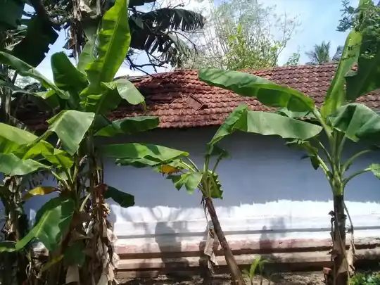 Arulmigu Ramar Temple, Devaryapuram - 642109 அருள்மிகு இராமர் திருக்கோயில், Devaryapuram - 642109, Coimbatore - Ancient Temple Architecture and History Image 4