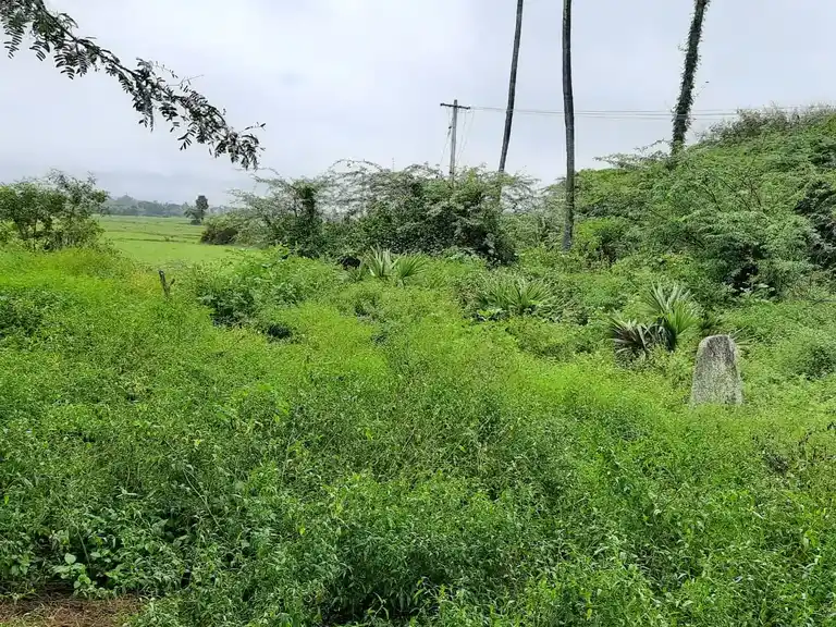 Arulmigu Ramar Temple, Inside The Village, Kalavai - 602001 அருள்மிகு இராமர் திருக்கோயில், Inside The Village, Kalavai - 602001, Tiruvallur - Ancient Temple Architecture and History Image 3