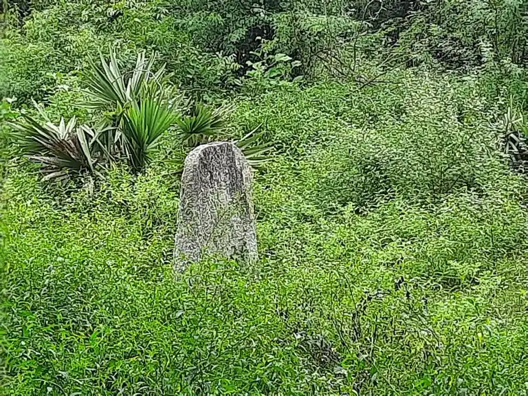 Arulmigu Ramar Temple, Inside The Village, Kalavai - 602001 அருள்மிகு இராமர் திருக்கோயில், Inside The Village, Kalavai - 602001, Tiruvallur - Ancient Temple Architecture and History Image 5