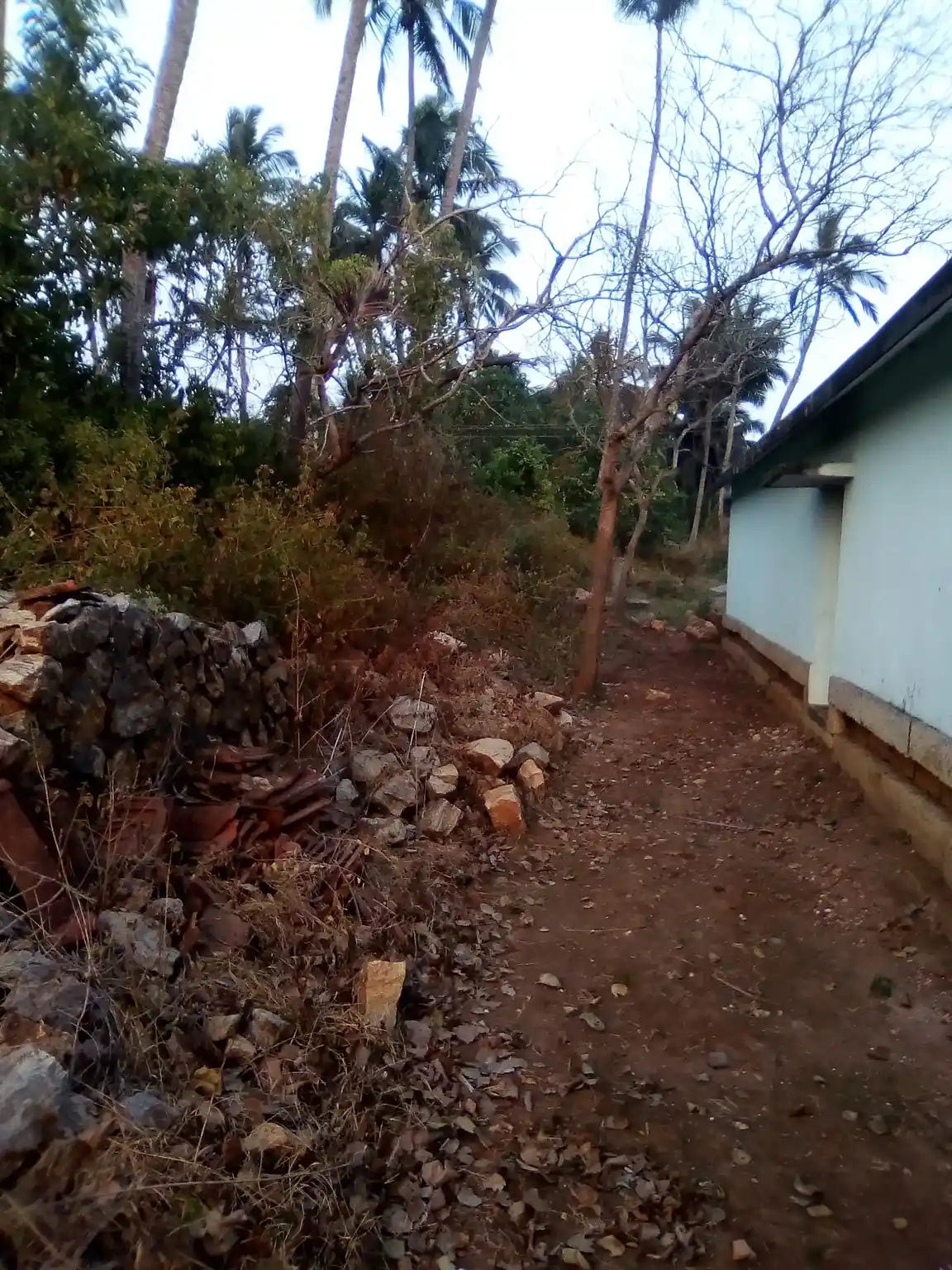 Arulmigu Ramar Temple, Kalpadi - 629204 அருள்மிகு ராமர் திருக்கோயில், Kalpadi - 629204, Kanyakumari - Ancient Temple Architecture and History Image 4