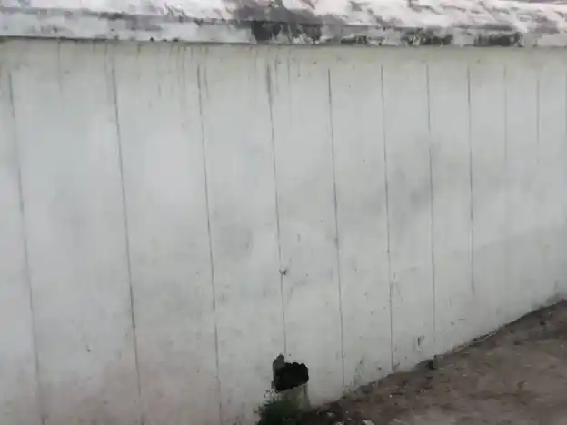 Arulmigu Ramar Temple, Sirukarumbur - 632002 அருள்மிகு ராமர் திருக்கோயில், சிருகரும்பூர் - 632002, Vellore - Ancient Temple Architecture and History Image 3