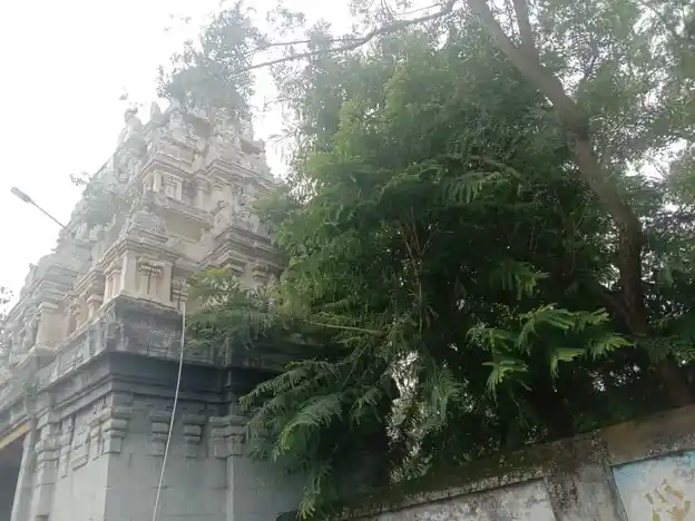 Arulmigu Ramasamy Temple, Badur - 604408