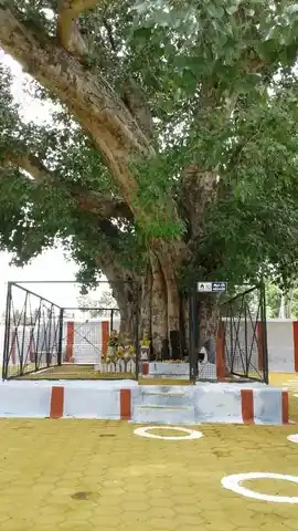 Arulmigu Ramasamy Temple, Koilpalayam, Avinashipalayam - 638660 Arulmigu Ramasamy Temple, Koilpalayam, Avinashipalayam - 638660, Tiruppur - Ancient Temple Architecture and History Image 3