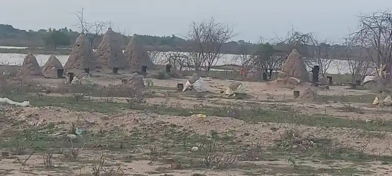 Arulmigu Ramasamy Temple, Ranasoornayakkanpatti - 628503 அருள்மிகு இராமசாமி திருக்கோயில், Rajanaickenpatti - 628503, Thoothukudi - Ancient Temple Architecture and History Image 4