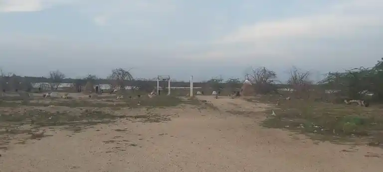 Arulmigu Ramasamy Temple, Ranasoornayakkanpatti - 628503 அருள்மிகு இராமசாமி திருக்கோயில், Rajanaickenpatti - 628503, Thoothukudi - Ancient Temple Architecture and History Image 6