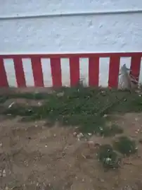 Arulmigu Ramasamy Temple, -, Sambavar Vada Karai - 627852 அருள்மிகு இராமசாமி திருக்கோயில், -, Sambavar Vada Karai - 627852, Tenkasi - Ancient Temple Architecture and History Image 4