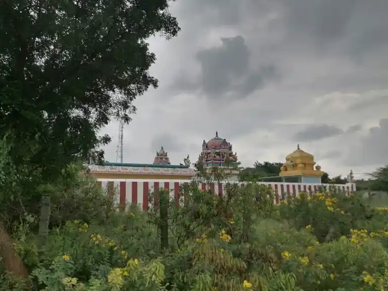 Arulmigu Ranganathasamy Temple, Dasanaickenpalayam - 642202 அருள்மிகு ரங்கநாதசாமி திருக்கோயில், Dasanaickenpalayam - 642202, Coimbatore - Ancient Temple Architecture and History Image 7