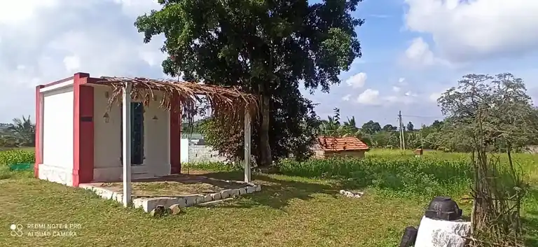 Arulmigu Rangaswamy Temple, Bargur - 638501 அருள்மிகு ரெங்கசுவாமி திருக்கோயில், Bargur - 638501, Erode - Ancient Temple Architecture and History Image 7