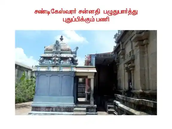 Arulmigu Raththinagireeshwara Swamy Temple, Thirumarugal - 609702 அருள்மிகு இரத்தினகிரீஸ்வரர் திருக்கோயில், திருமருகல் - 609702, Nagapattinam - Ancient Temple Architecture and History Image 7