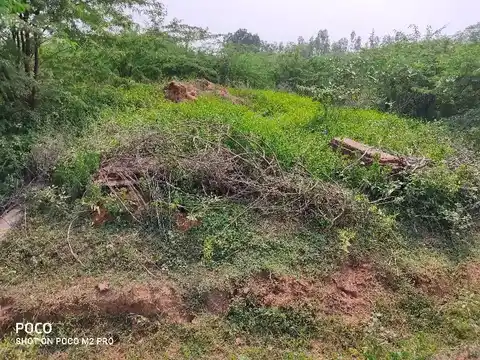 Arulmigu Renganatha Swamy Temple, Thiruvengadamudaiyanpatti - 613104