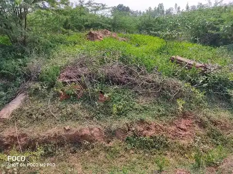 Arulmigu Renganatha Swamy Temple, Thiruvengadamudaiyanpatti - 613104 அருள்மிகு ரெங்கநாதசுவாமி திருக்கோயில், Thiruvengadamudaiyanpatti - 613104, Thanjavur - Ancient Temple Architecture and History Image 2