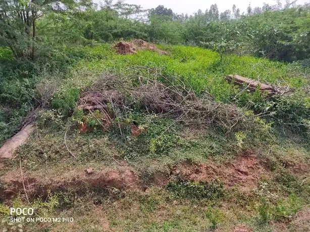 Arulmigu Renganatha Swamy Temple, Thiruvengadamudaiyanpatti - 613104 அருள்மிகு ரெங்கநாதசுவாமி திருக்கோயில், Thiruvengadamudaiyanpatti - 613104, Thanjavur - Ancient Temple Architecture and History Image 4
