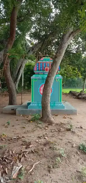 Arulmigu Renganathaperumal Temple, Aathanur - 612301 அருள்மிகு ரெங்கநாதபெருமாள் திருக்கோயில், Aathanur - 612301, Thanjavur - Ancient Temple Architecture and History Image 17