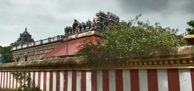 Arulmigu Renganathaperumal Temple, Sernthamangalam - 612701 அருள்மிகு ரெங்கநாதபெருமாள் திருக்கோயில், Sernthamangalam - 612701, Thiruvarur - Ancient Temple Architecture and History Image 7
