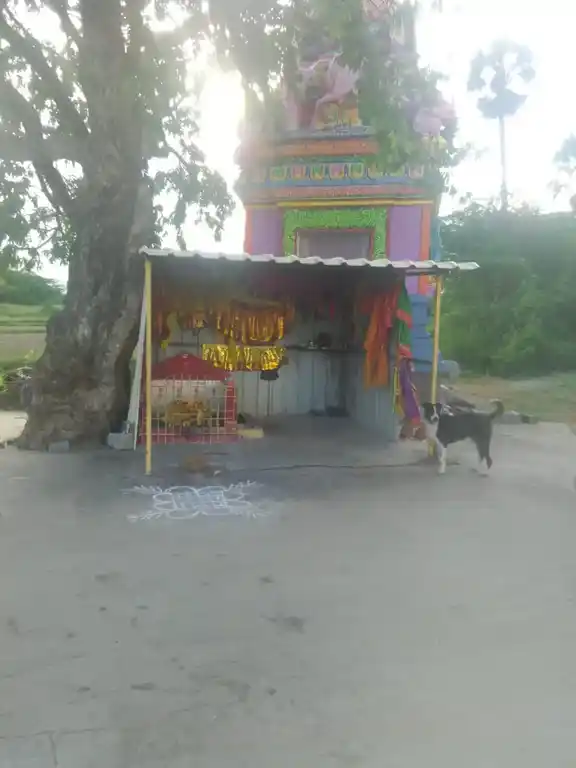 Arulmigu Renugambal Temple, Kesavanagkuppam - 631001