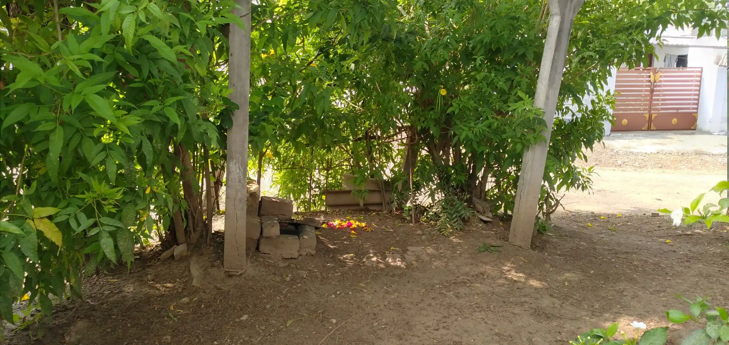 Arulmigu Renukadevi Temple, Chinna Poolakinaru, Chinna Poolakinaru - 642122 அருள்மிகு ரேணுகாதேவி திருக்கோயில், Chinna Poolakinaru, Chinna Poolakinaru - 642122, Tiruppur - Ancient Temple Architecture and History Image 4