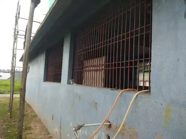 Arulmigu Renukaparameswariamman Temple, Pillali - 607401 அருள்மிகு ரேணுகாபரமேஸ்வரியம்மன் கோயில், Pillali - 607401, Cuddalore - Ancient Temple Architecture and History Image 4