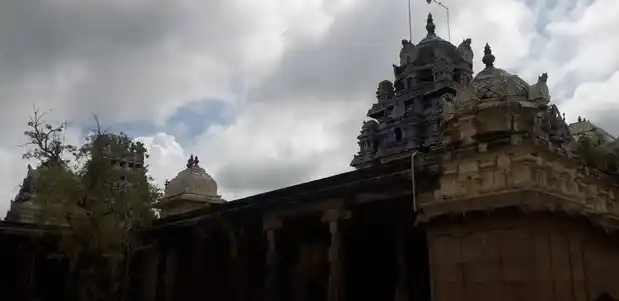 Arulmigu Rethinapuriswarar Temple, Thirunattiyathankudi - 610202 அருள்மிகு ரெத்தினபுரீஸ்வரர் திருக்கோயில், திருநாட்டியத்தான்குடி - 610202, Thiruvarur - Ancient Temple Architecture and History Image 4