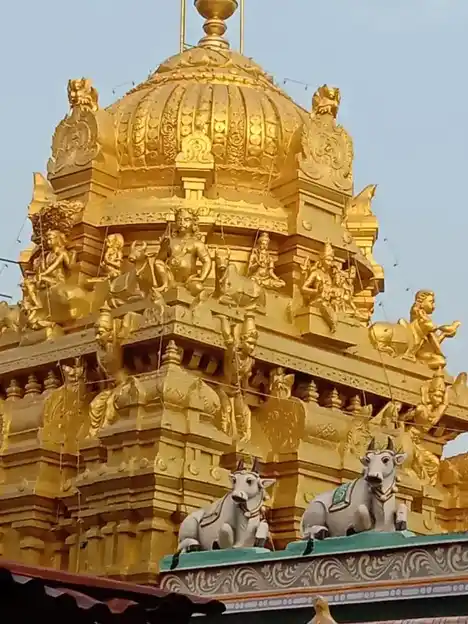 Arulmigu Rettai Thalesswara Temple, Uthiramerur - 603406 அருள்மிகு இரட்டைதாளீஸ்வரர் திருக்கோயில், உத்திரமேரூர் - 603406, Kancheepuram - Ancient Temple Architecture and History Image 6